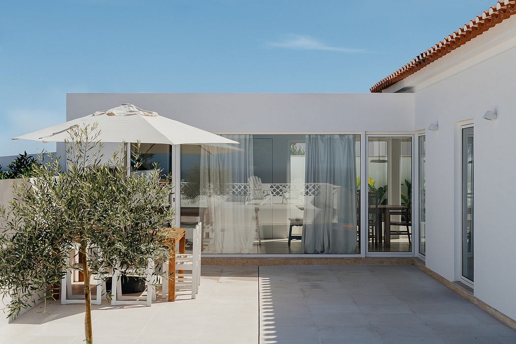 Contemporary patio with white umbrella, olive tree, and sliding glass doors.