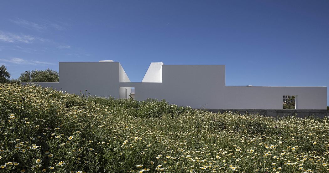 Contemporary house with geometric design in a wildflower field.