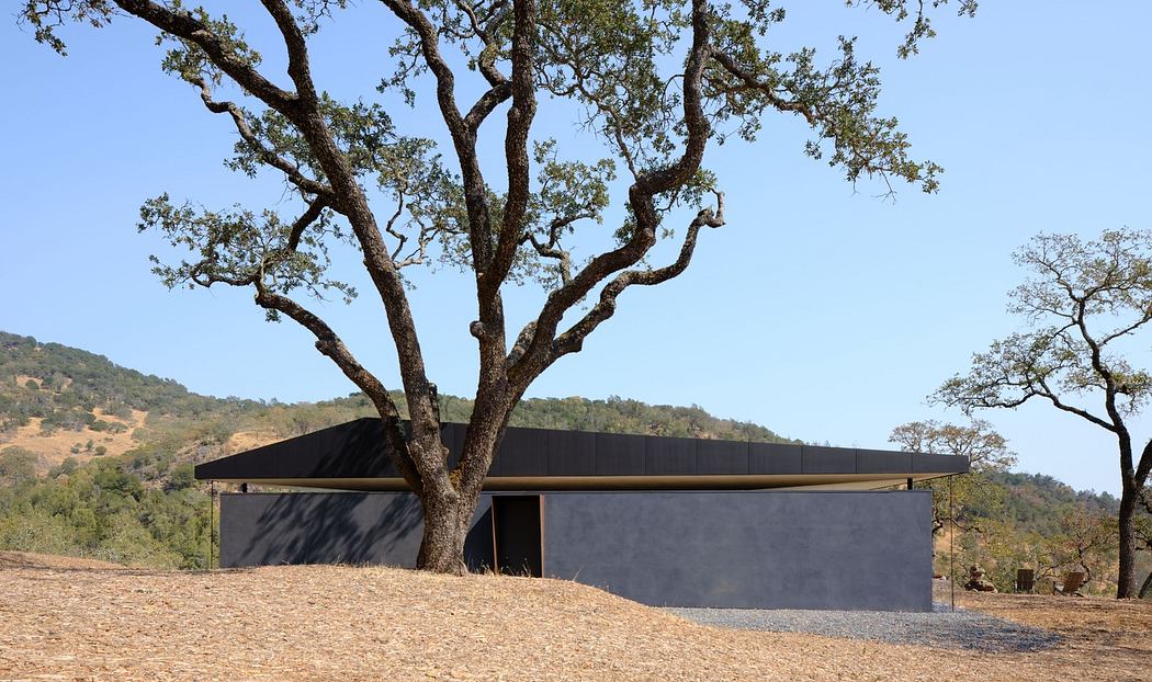 Modern minimalist building with a flat roof amid a dry landscape with a prominent tree.
