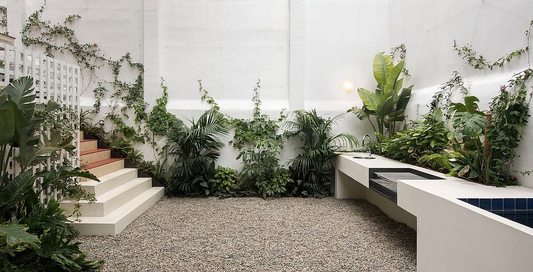 Contemporary indoor garden with lush plants and minimalist steps.