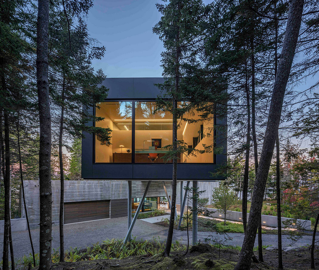 Modern elevated house with large windows surrounded by trees at dusk.