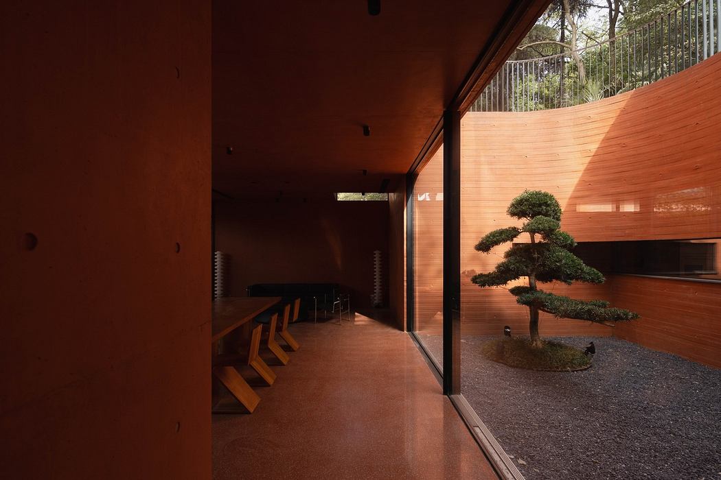 Minimalist hallway with large glass windows and a bonsai tree.