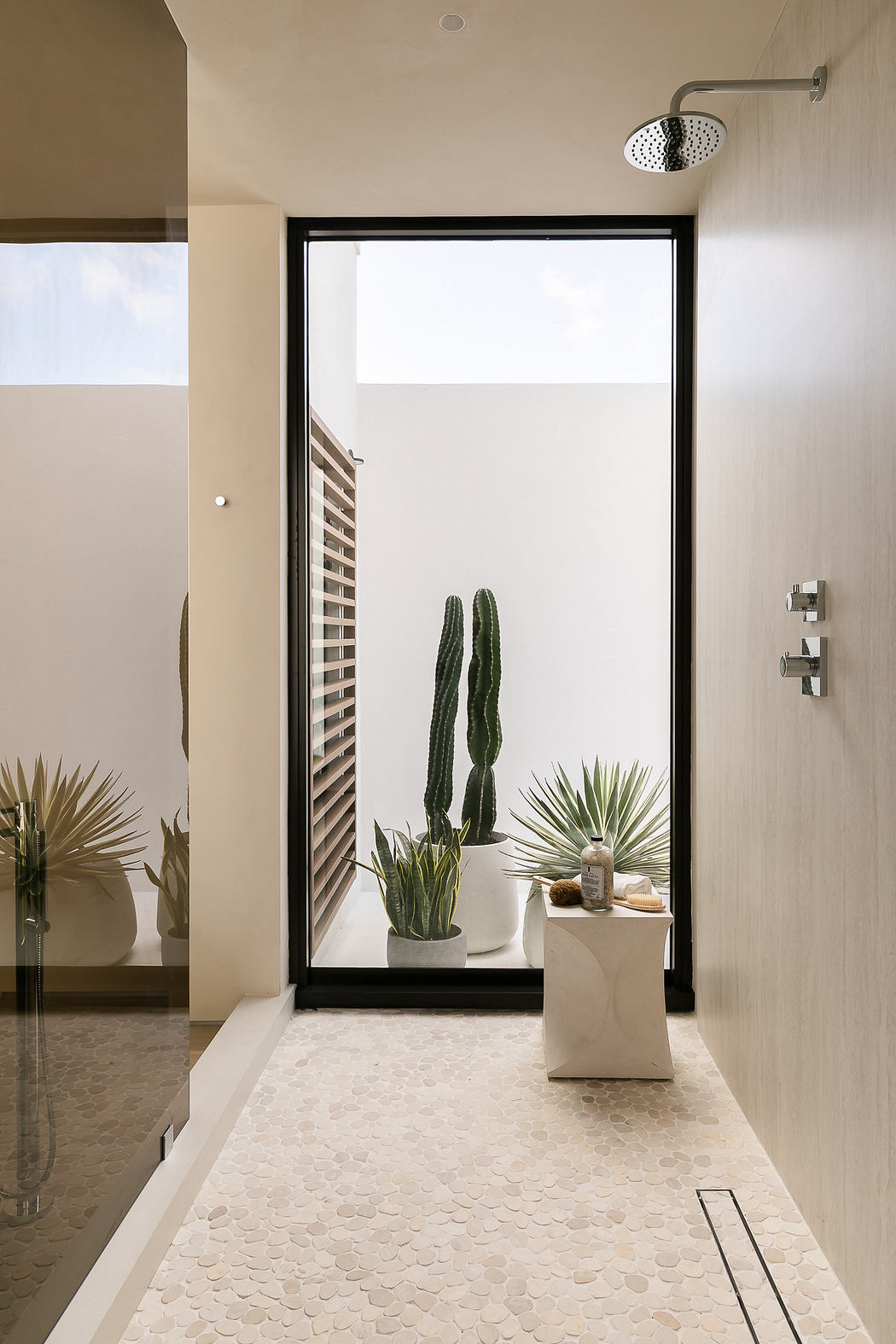 Modern bathroom with terrazzo flooring and cactus decor near a shower with glass door