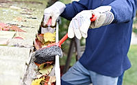 Leaves in eaves. cleaning gutter blocked with autumn leaves.
