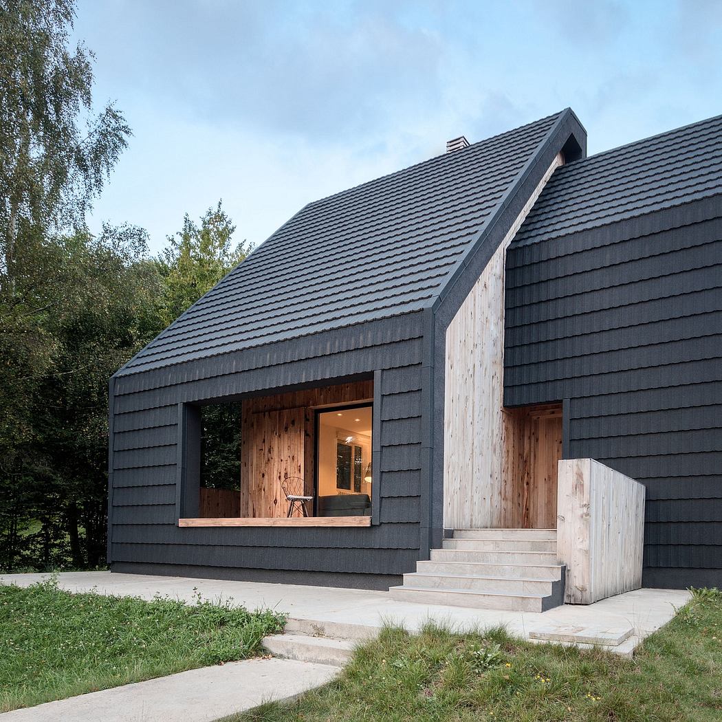 A modern cabin-style house with a striking black exterior and rustic wood accents.