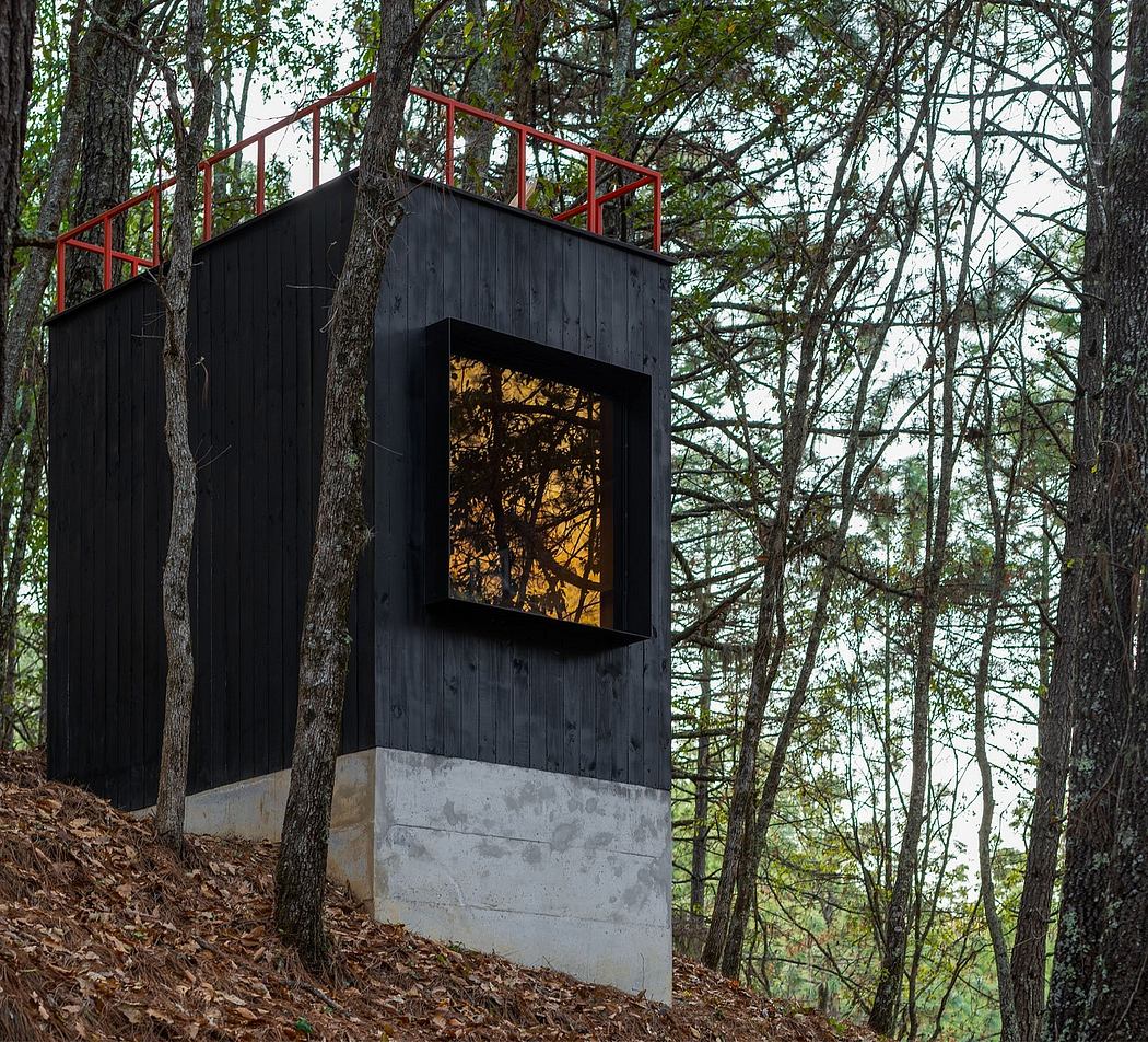 A black wooden structure with a red metal railing, perched atop a concrete base in a forest.