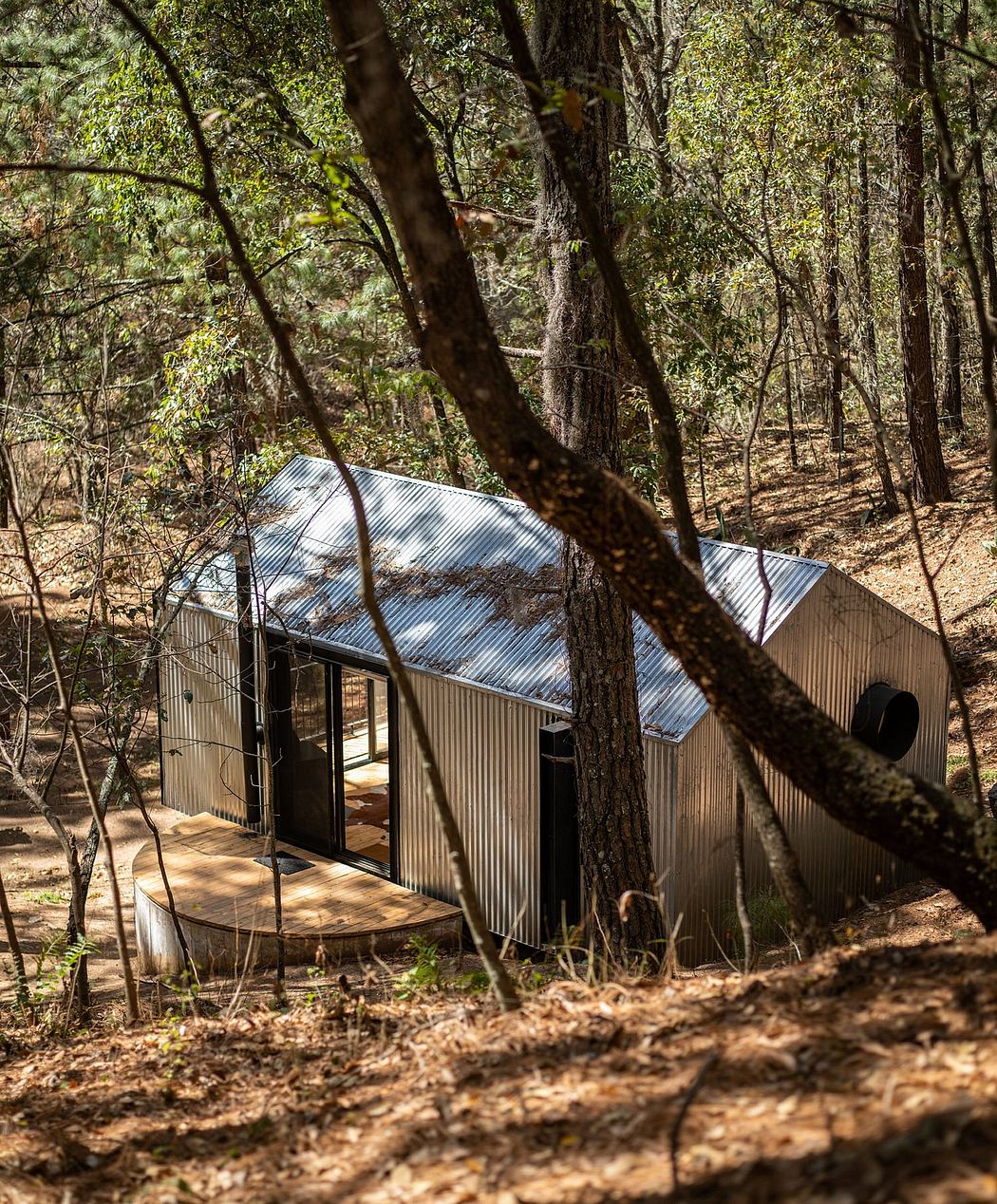 A small, modern cabin nestled among the trees, with a corrugated metal roof and large windows.