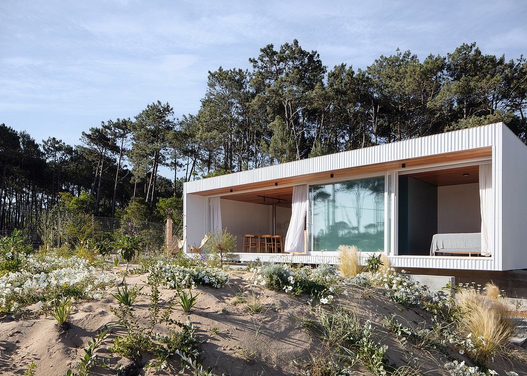 Minimalist beach house nestled in sand dunes with large windows.