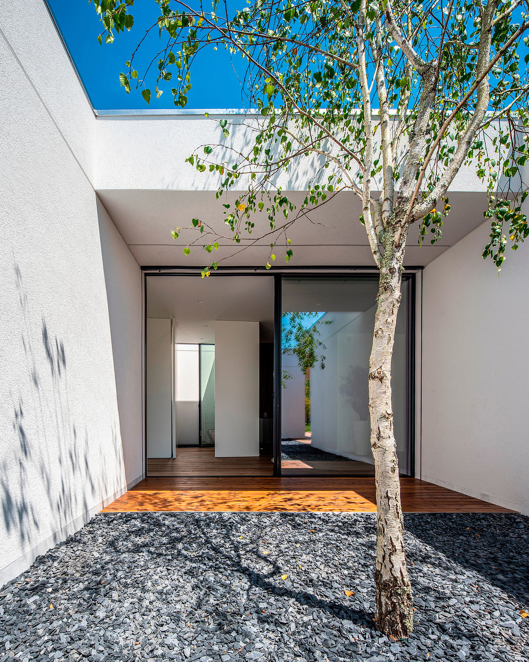 Sleek entryway with glass door, white walls, a tree, and