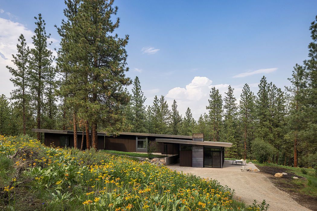 Contemporary forest home with flat roof and large windows.
