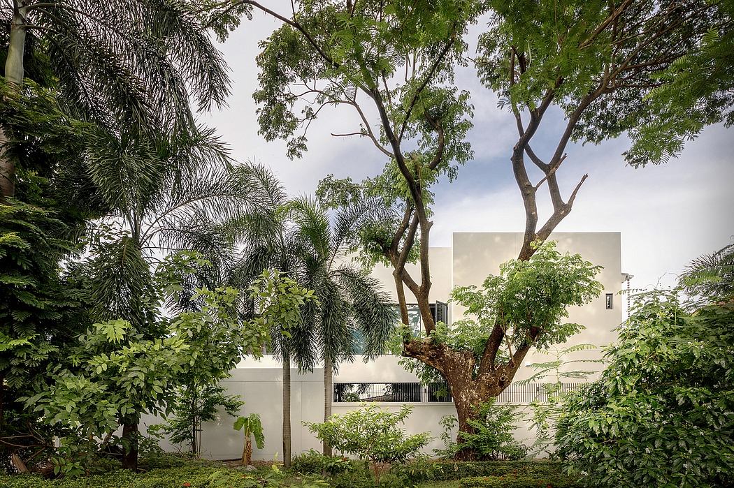 Modern house facade partially obscured by lush greenery.