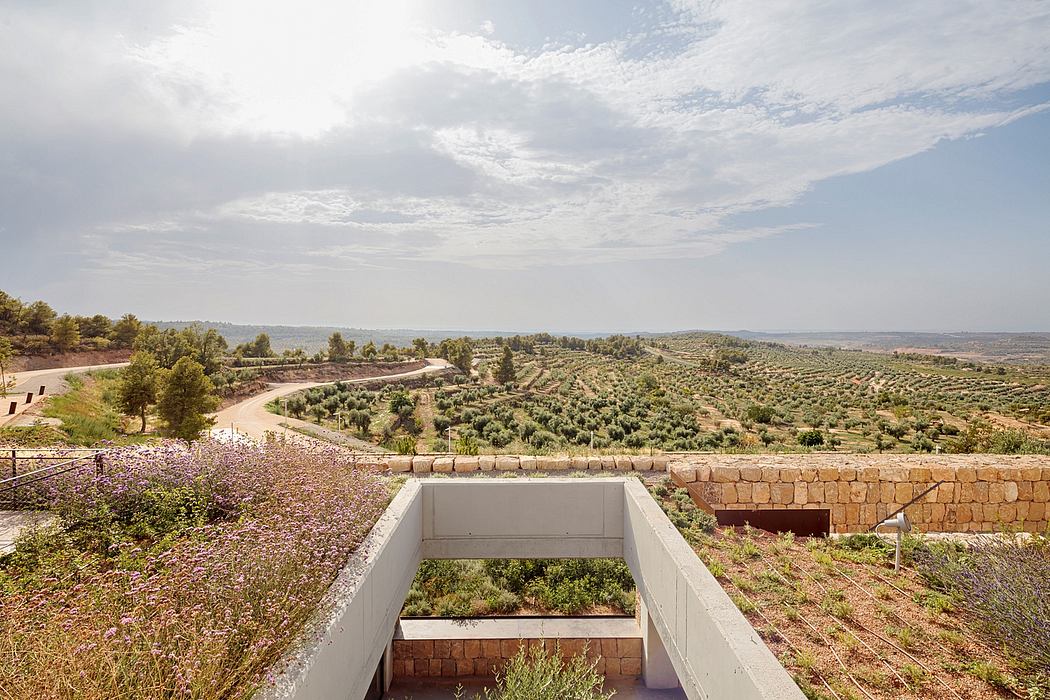 Minimalist terrace overlooking expansive olive groves.