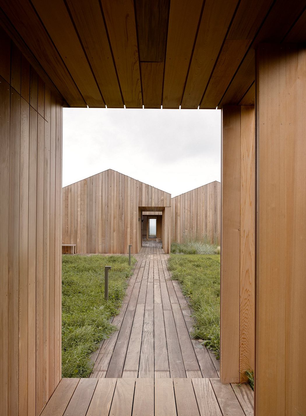 Wooden walkway leading to a modern building with wood-paneled walls and corridors