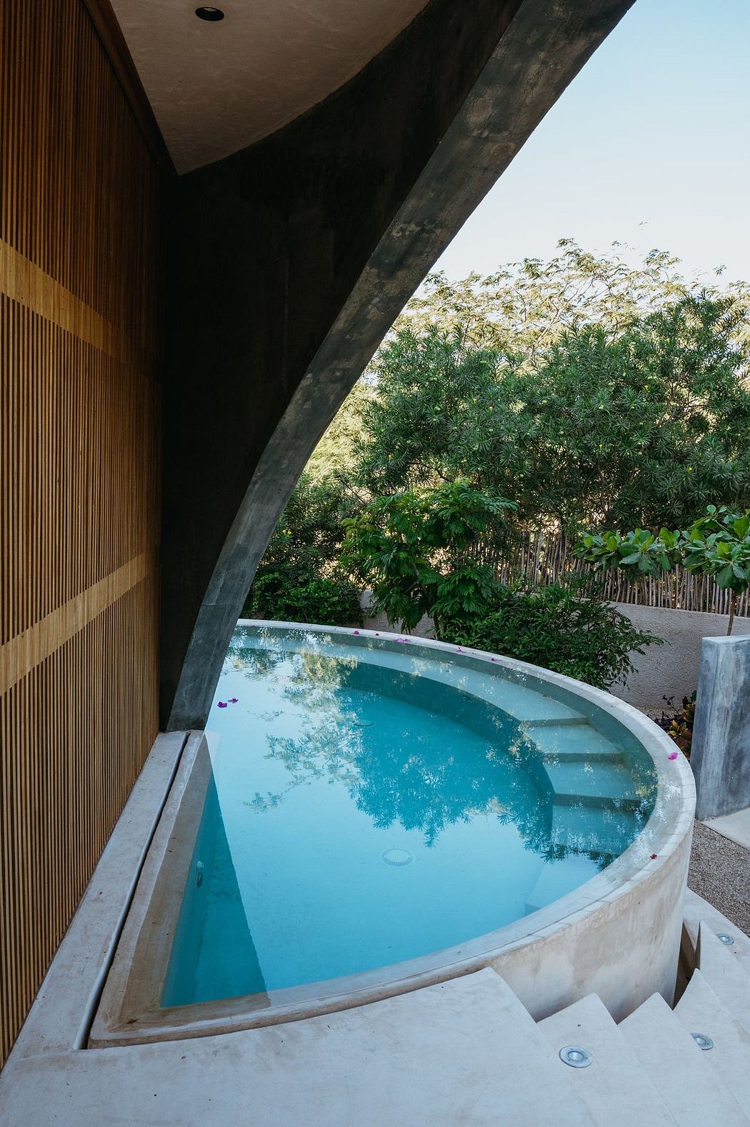 A modern, curved pool surrounded by lush greenery and wooden architectural features.
