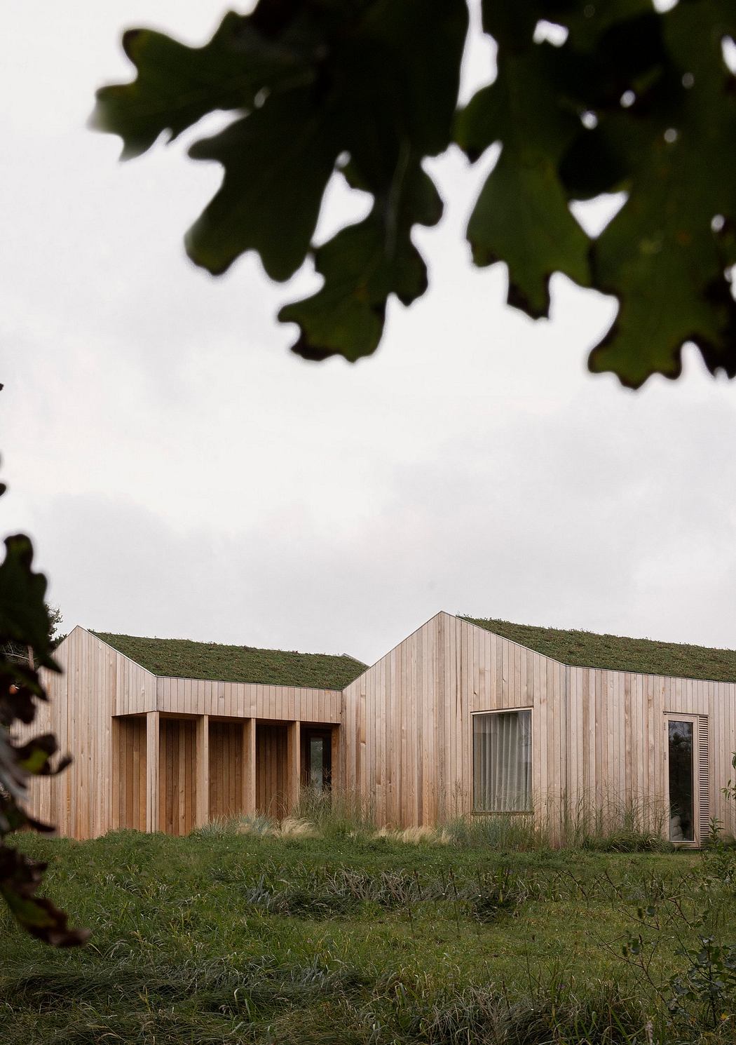 Modern wooden house viewed through tree leaves.