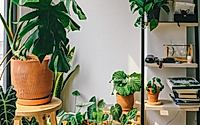 transform-your-space-without-breaking-the-bank-6-budget-friendly-home-decoration-tips-and-ideas-003