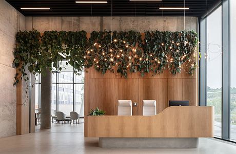 Direct Family Offices: A New Age Workspace in Prague