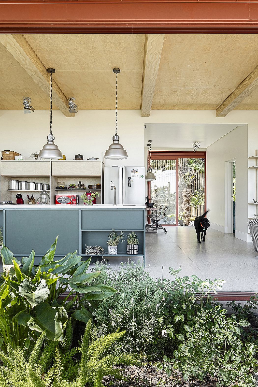 A cozy, modern kitchen with lush indoor greenery, industrial-style lighting, and warm wood finishes.