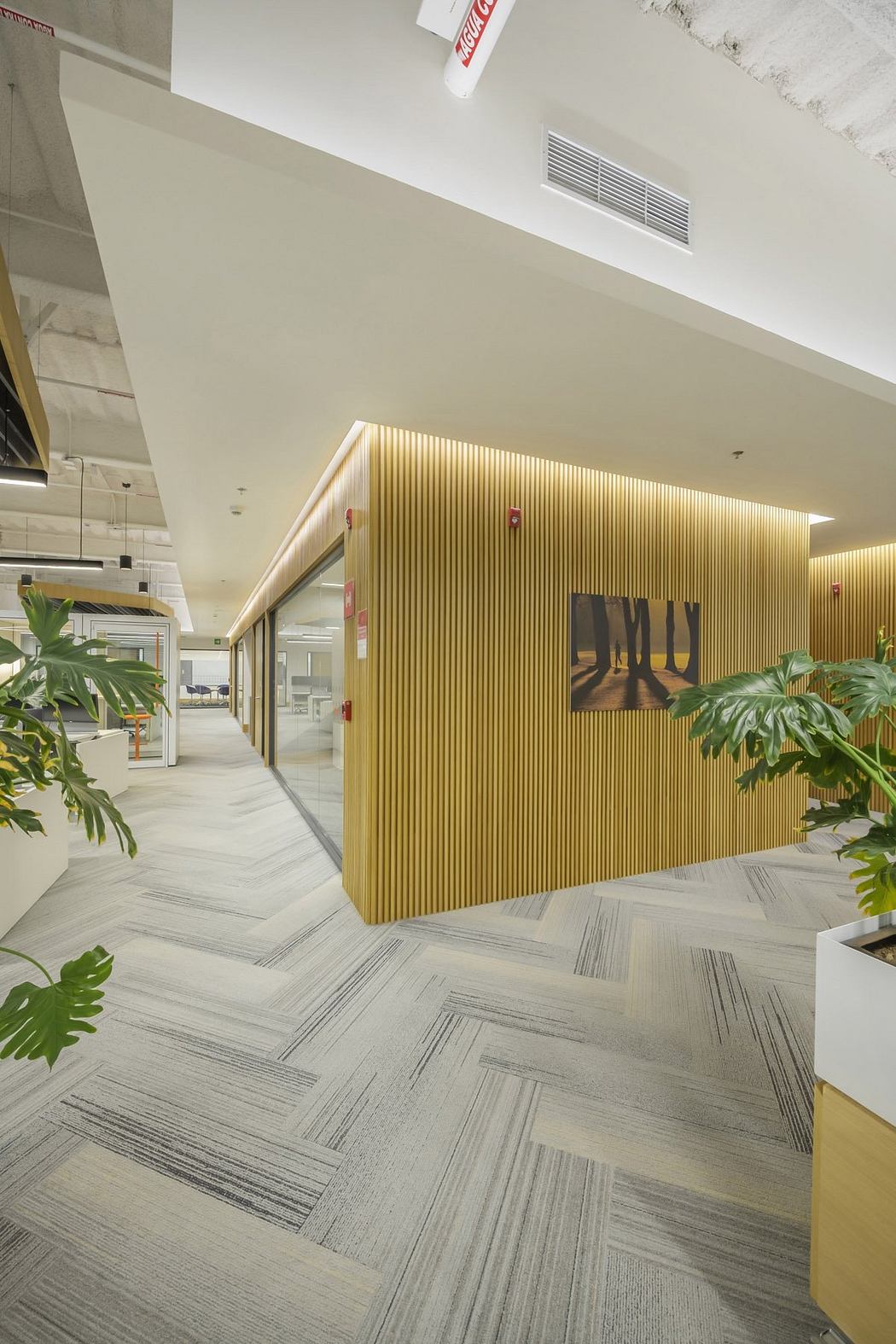 A modern, well-lit office space with wooden paneling, geometric flooring, and potted plants.