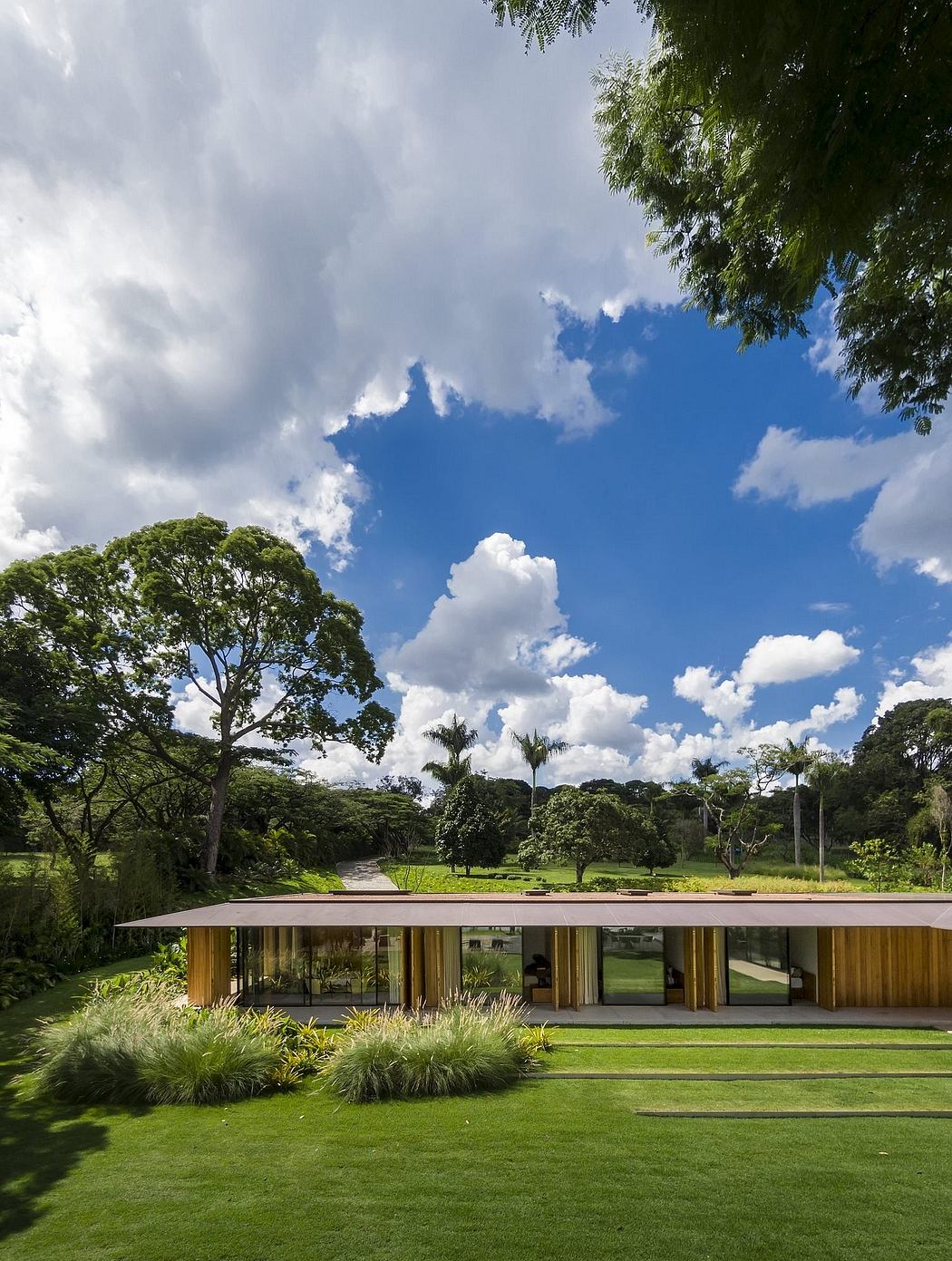 A modern, wooden structure nestled in a lush, green landscape with palm trees.