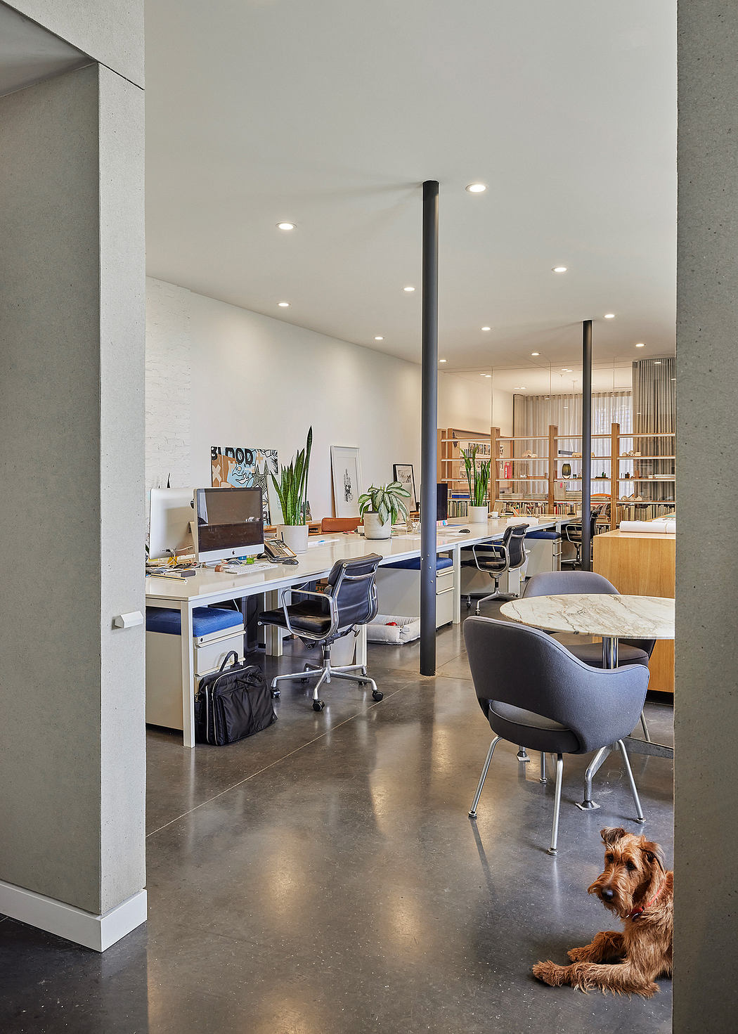 A modern, minimalist office space with sleek furniture, lighting, and a dog present.