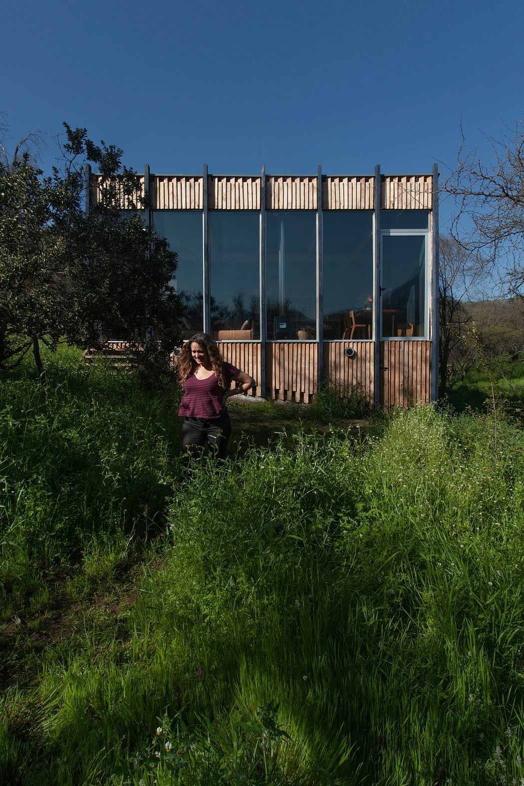 A modern, wooden structure with large windows stands amidst lush, verdant foliage.
