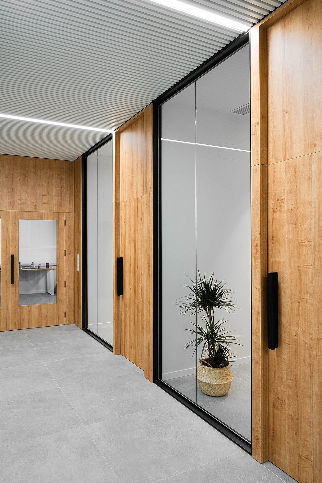 A modern hallway featuring wooden wall panels, sliding glass doors, and a potted plant.