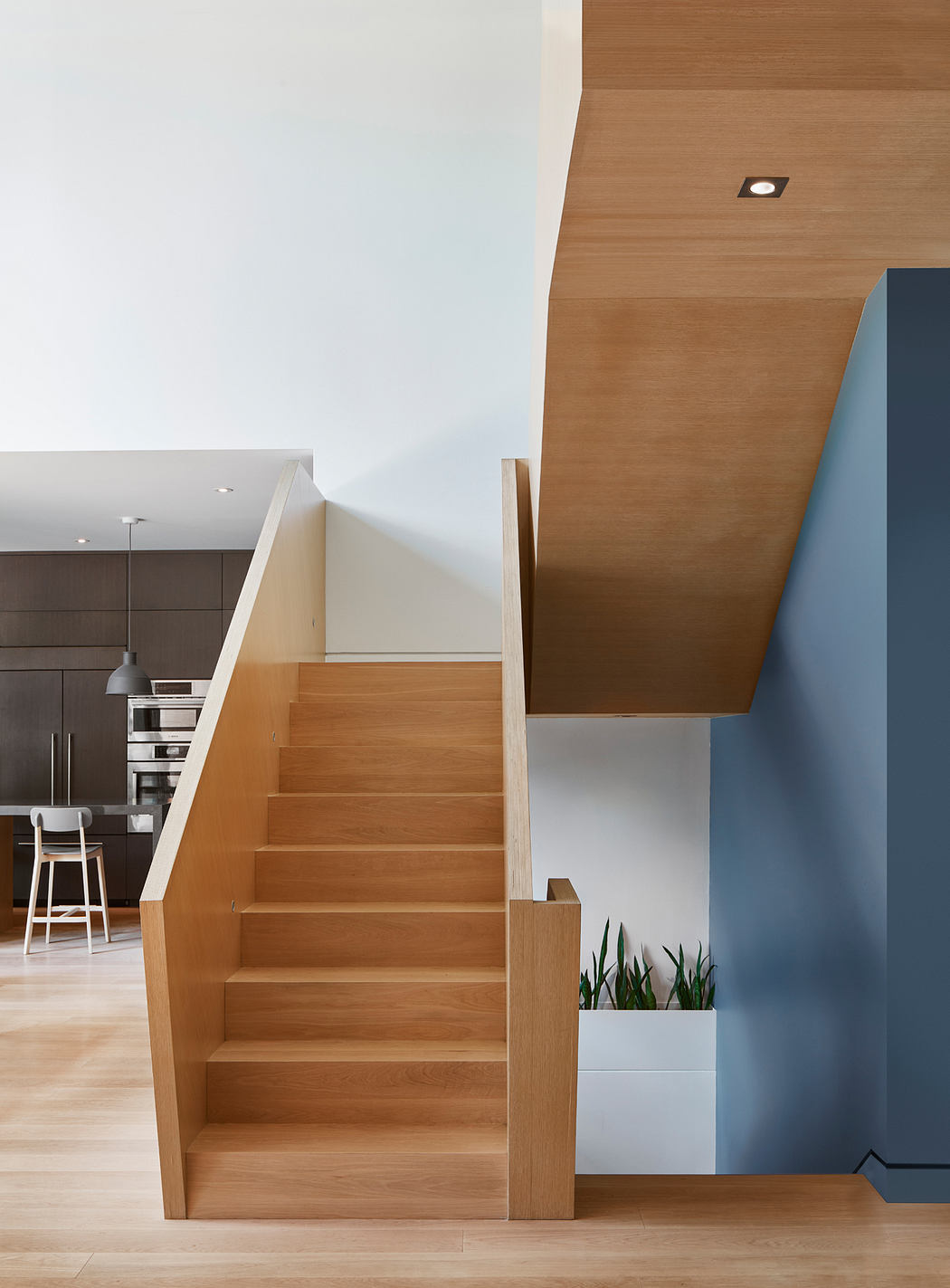 Wooden staircase leading to upper level with contrasting blue wall in modern interior.
