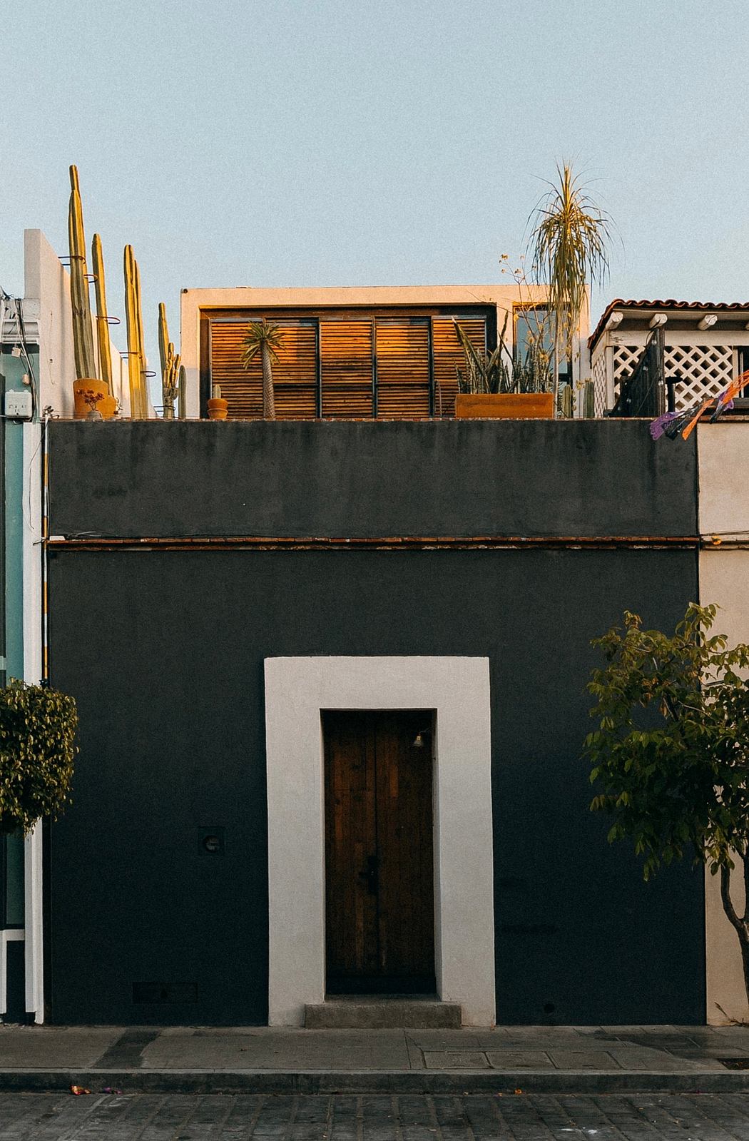A striking modern building with wooden slat screens, potted plants, and a simple concrete entryway.