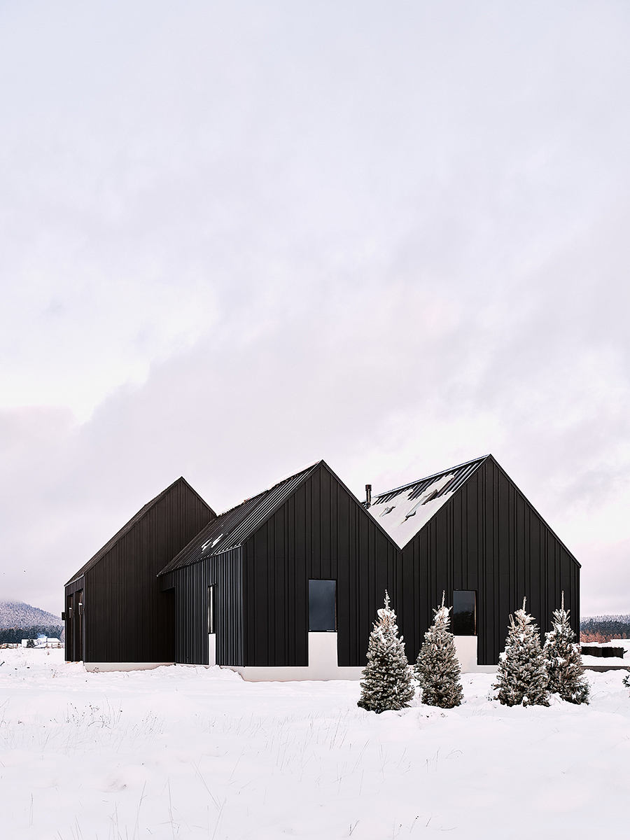 Striking black modern cabins with sharp gabled roofs and pine trees in snowy landscape.