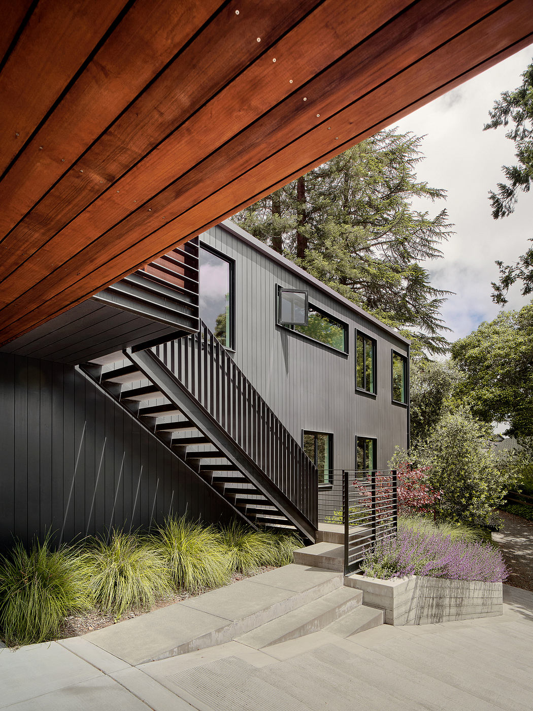 A modern wooden roof overhang shelters a sleek exterior with minimalist stairs and lush landscaping.