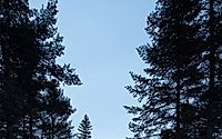 014-rustic-grade-embracing-minimalism-in-a-canadian-forest.jpg