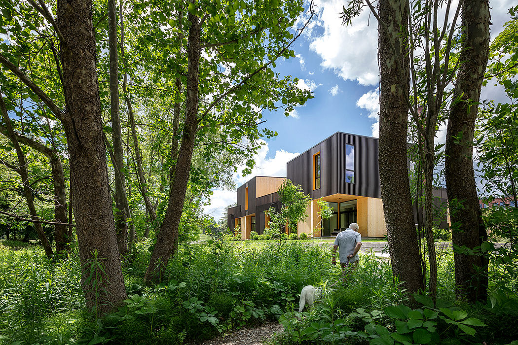 Modern wood-and-glass home nestled among lush, verdant trees and vegetation.