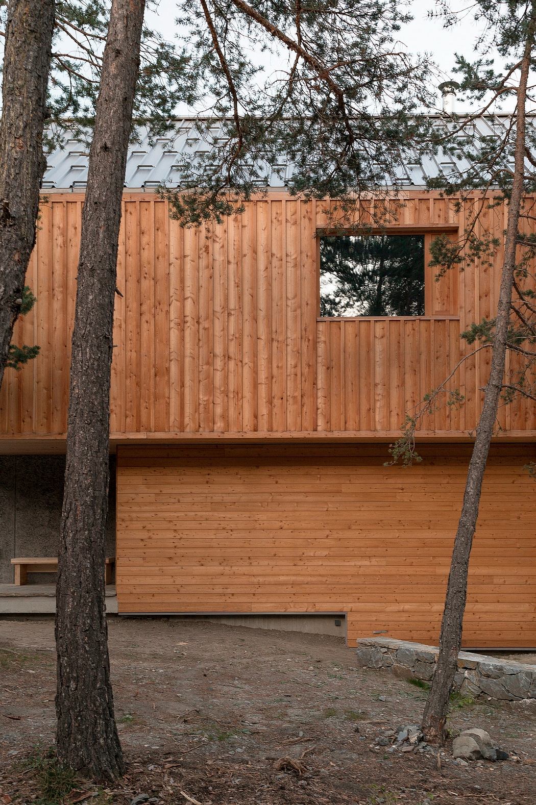 A wooden cabin nestled among pine trees, with a stylish roofline and a large window.