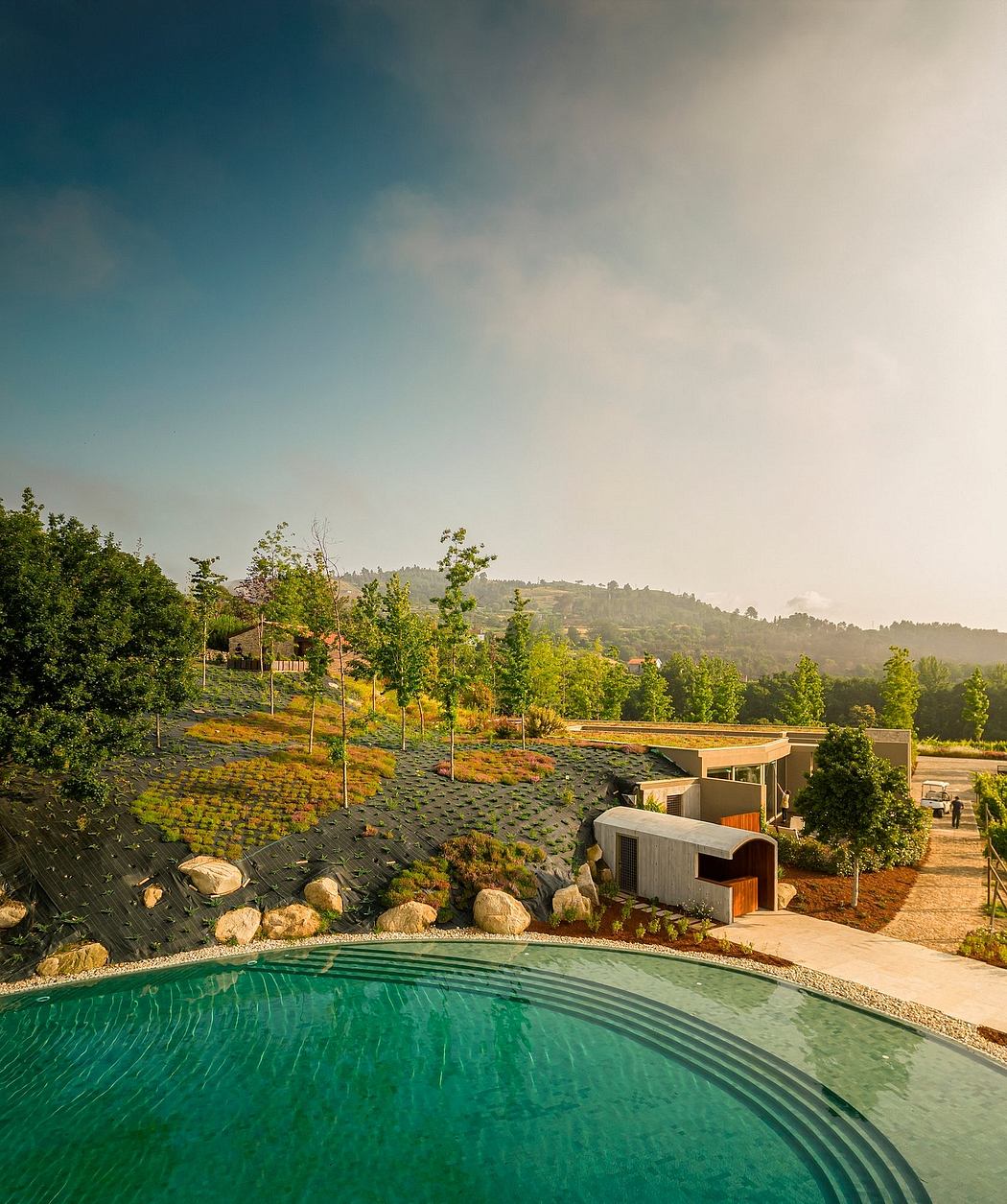 Lush landscaping surrounds a tranquil pool with a modern architectural design.