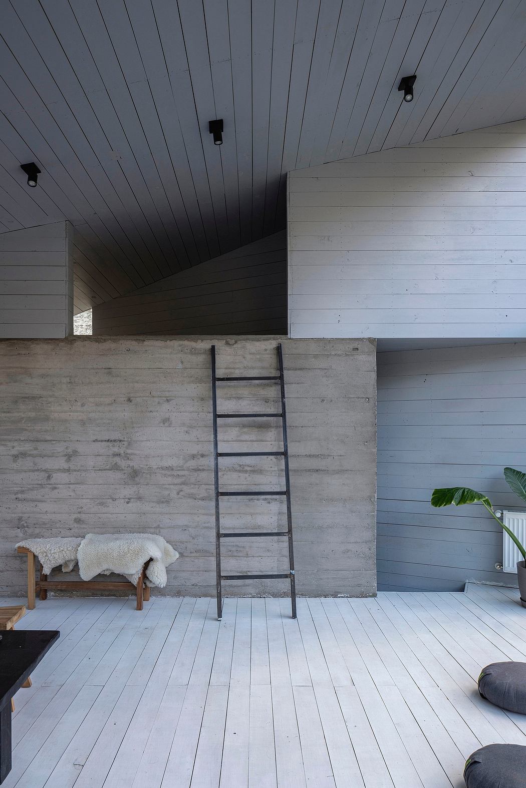 Minimalist interior with concrete walls, wooden floors, and a metal ladder leading to an upper level.