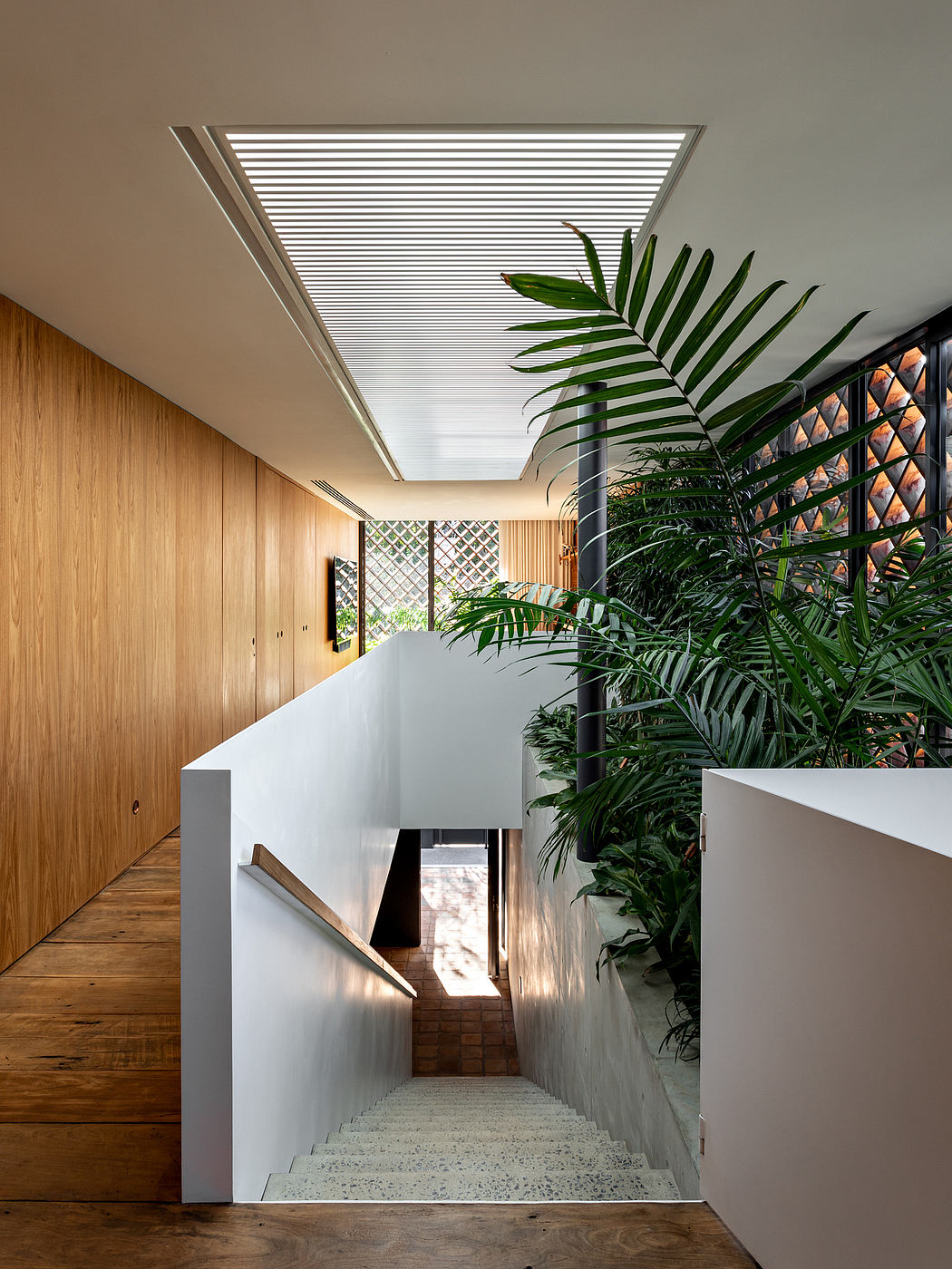 A modern hallway with wooden paneling, a white staircase, and lush tropical plants.