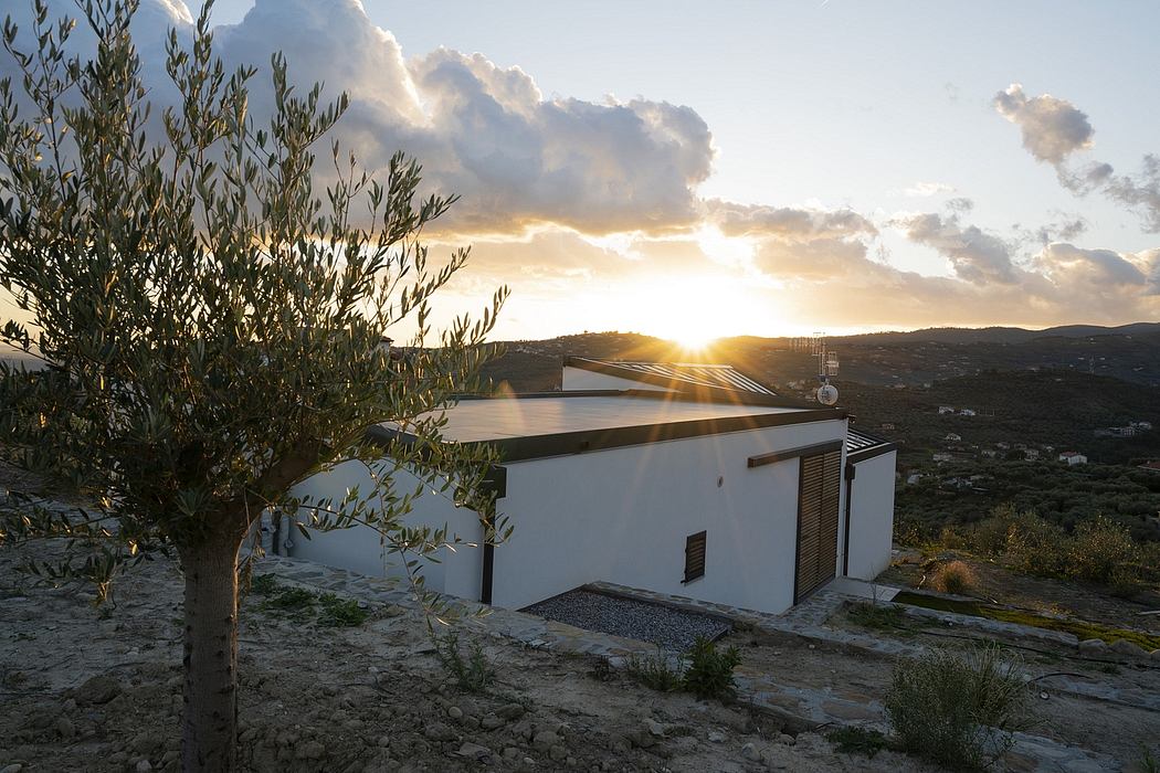 A modern, minimalist house with a stone wall and olive tree overlooking a scenic sunset view.