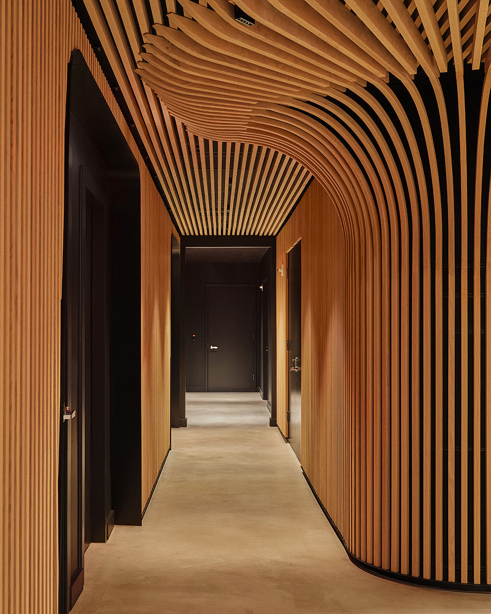 A striking wood-paneled corridor with a curved, arched ceiling, creating an elegant architectural design.