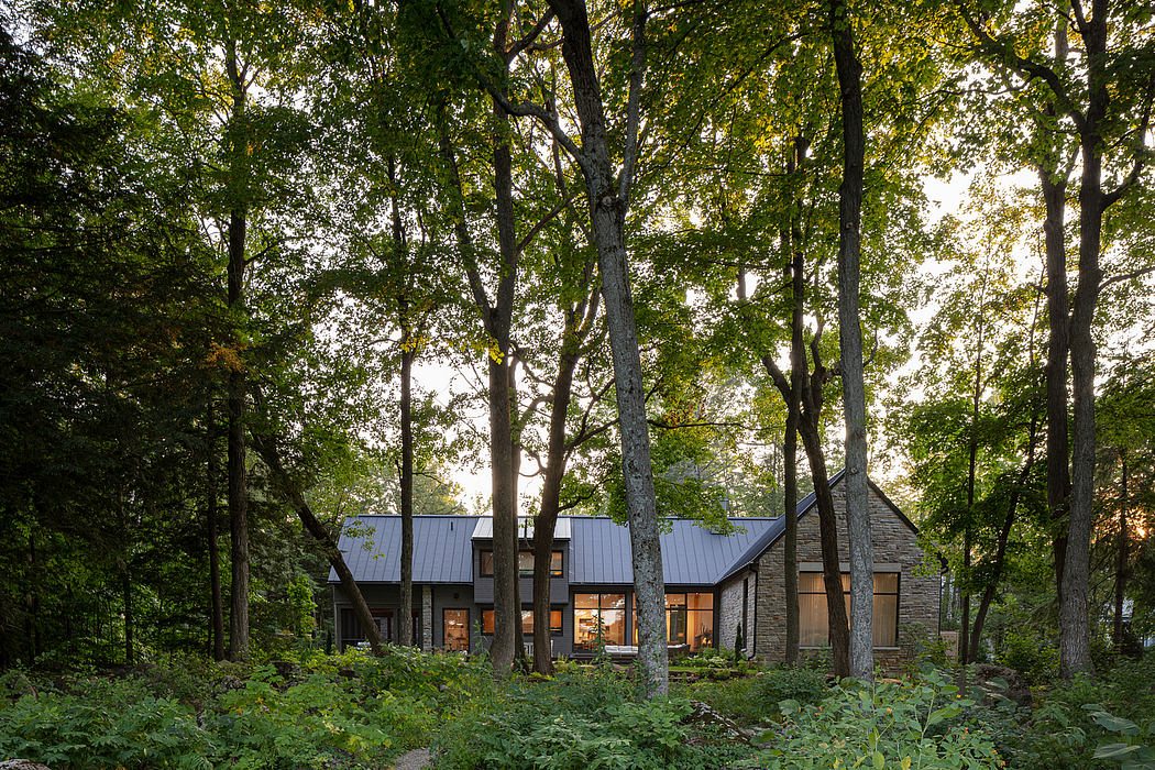 A modern cabin-style home nestled in a lush, forested setting with large windows and a slate roof.