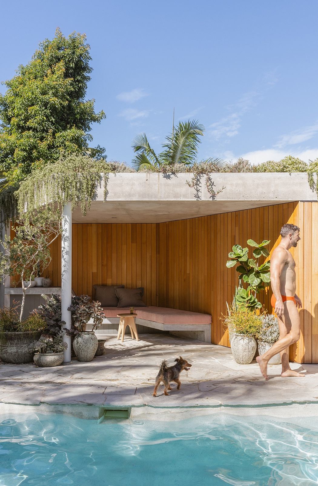 Tranquil oasis with sleek wood paneling, lush foliage, and an inviting pool with a dog.