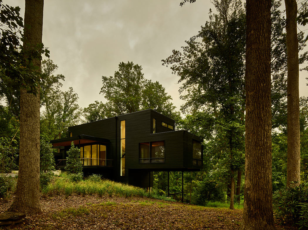 A modern cabin-style home nestled in a lush forest, with large windows and a wrap-around deck.
