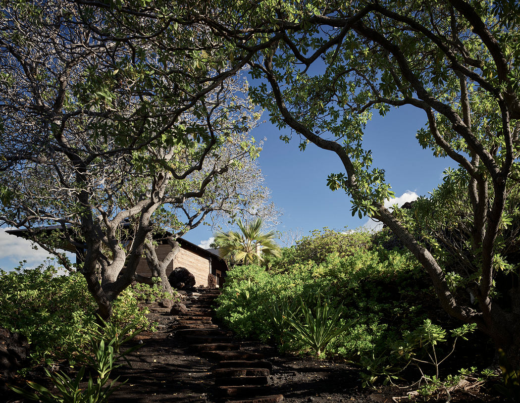 Rustic wooden steps leading up to a small building amidst lush greenery and trees.