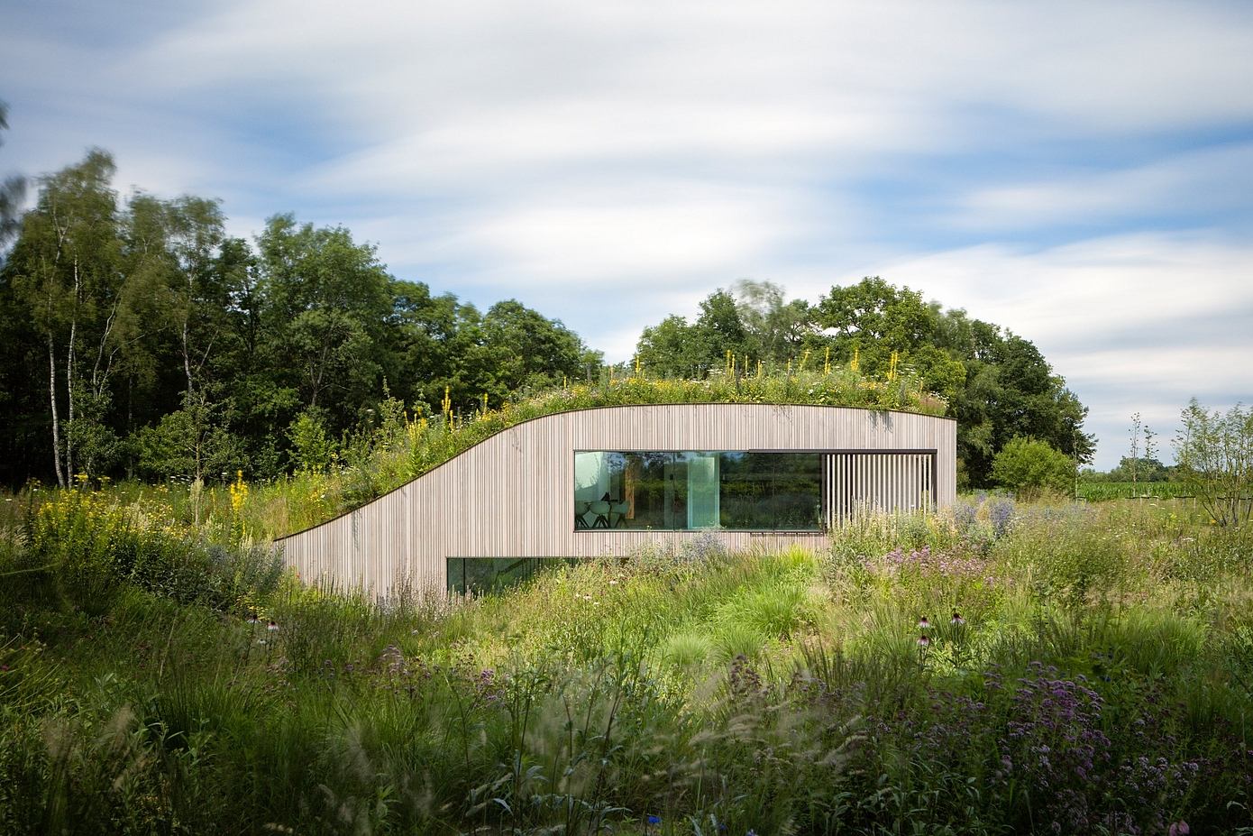 The House Under the Ground: Blending Architecture and Nature in the Netherlands