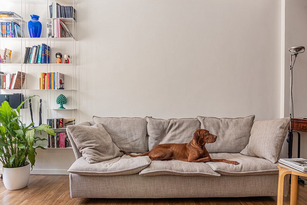 Cozy living room with neutral-toned sofa, shelving unit, and potted plant.