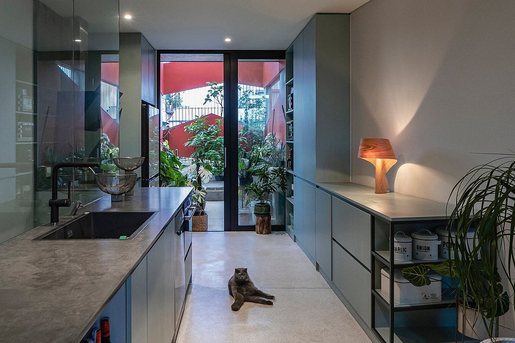 Sleek modern kitchen design with minimalist cabinetry, lush indoor garden, and a cat.
