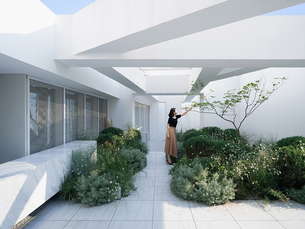 A minimalist indoor garden with lush greenery, clean lines, and natural lighting.