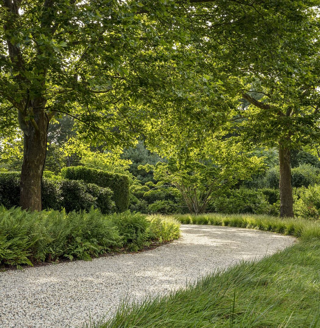 A lush, verdant garden path winding through a canopy of mature trees and surrounding shrubbery.