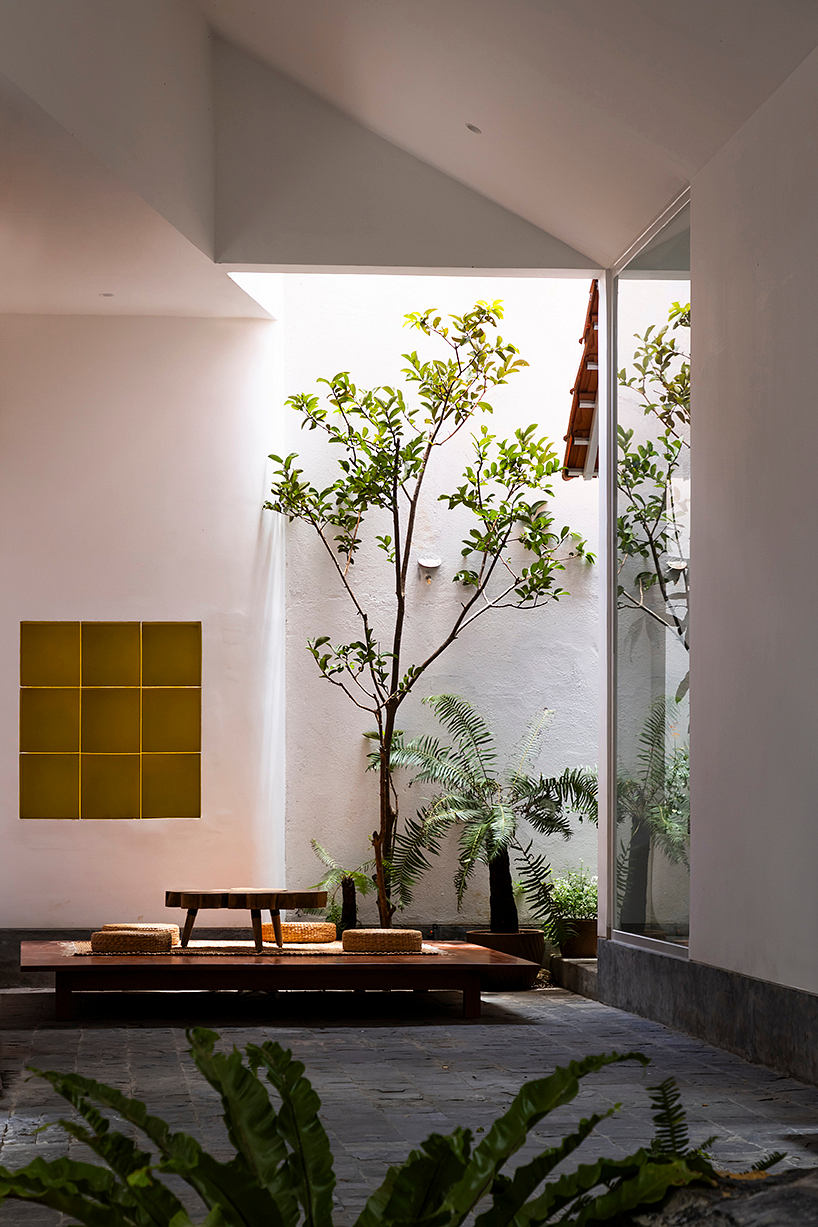 Minimalist interior with large tree, wooden furniture, and natural light from window.