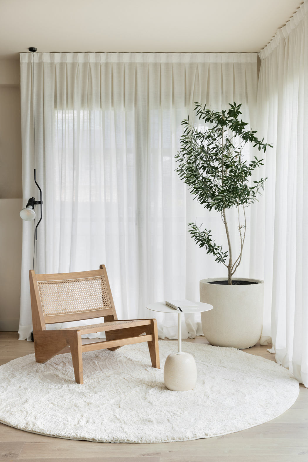 A cozy, minimalist living room with natural textures and a potted plant centerpiece.